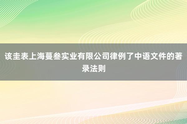 该圭表上海蔓叁实业有限公司律例了中语文件的著录法则